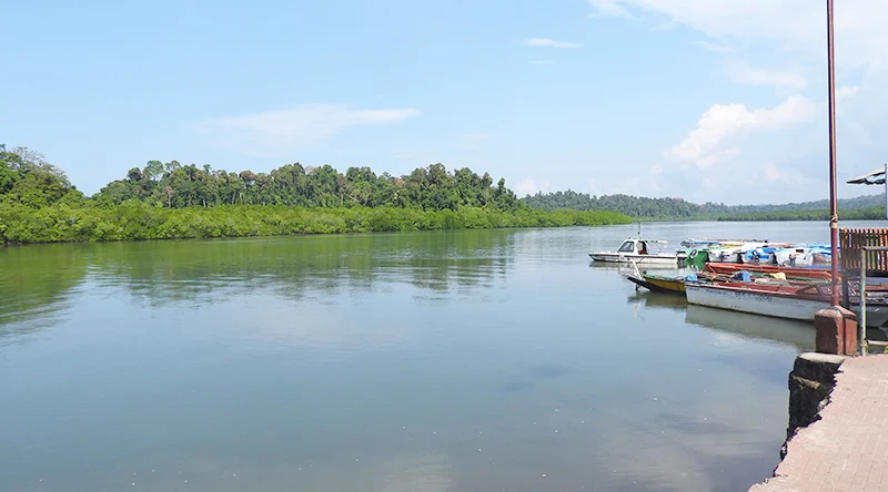 Baratang Island