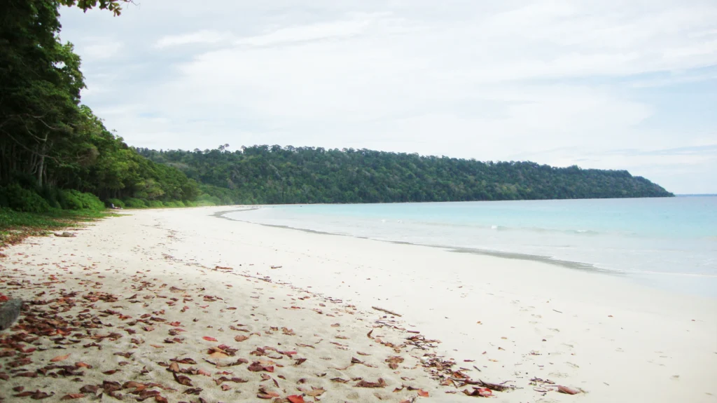Radhanagar Beach